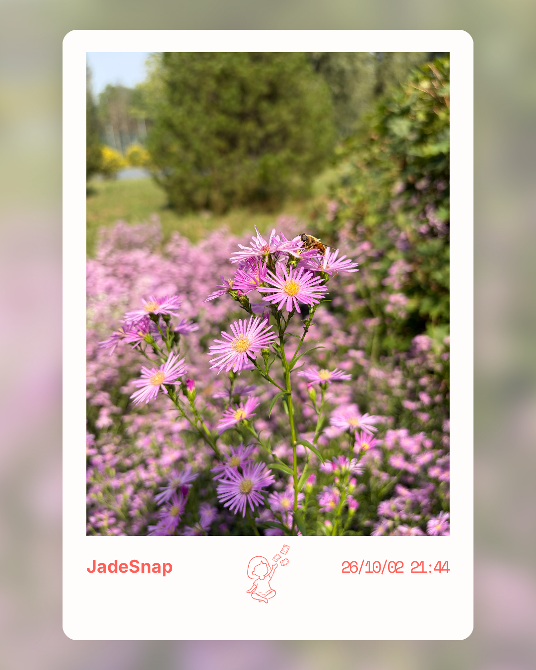 玥记 JadeSnap:把日常照片做成照片卡、拼图与画册